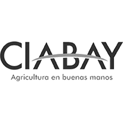 Ciabay