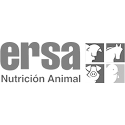 LOGO ERSA