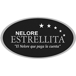 Nelore Estrellita