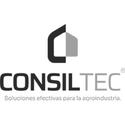 logo Consiltec - editable-1