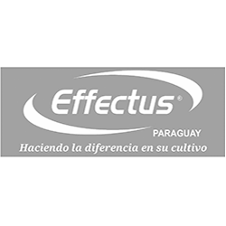 logo effectus